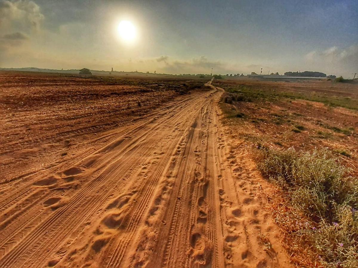 Kibbutz Hatzor A Room Close To Ashdod Hatzor Ashdod エクステリア 写真
