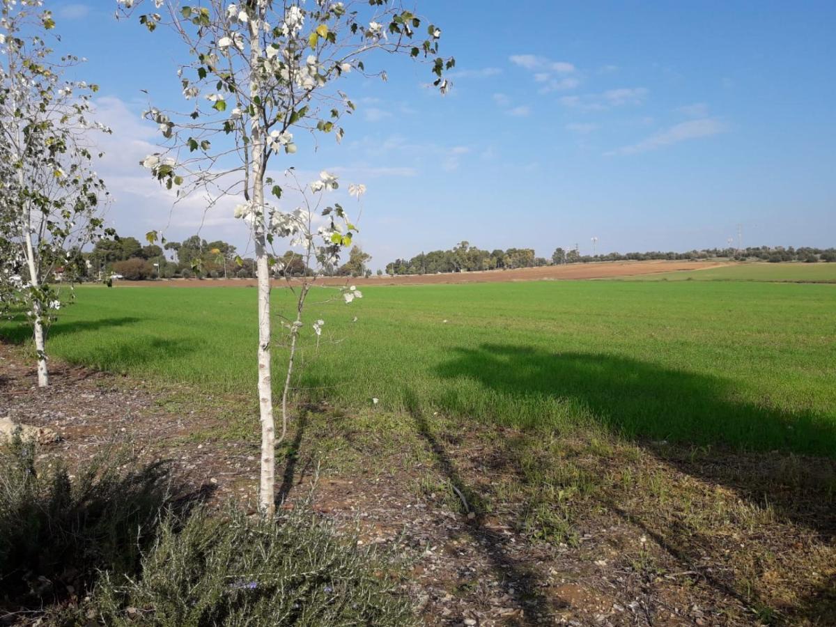 Kibbutz Hatzor A Room Close To Ashdod Hatzor Ashdod エクステリア 写真